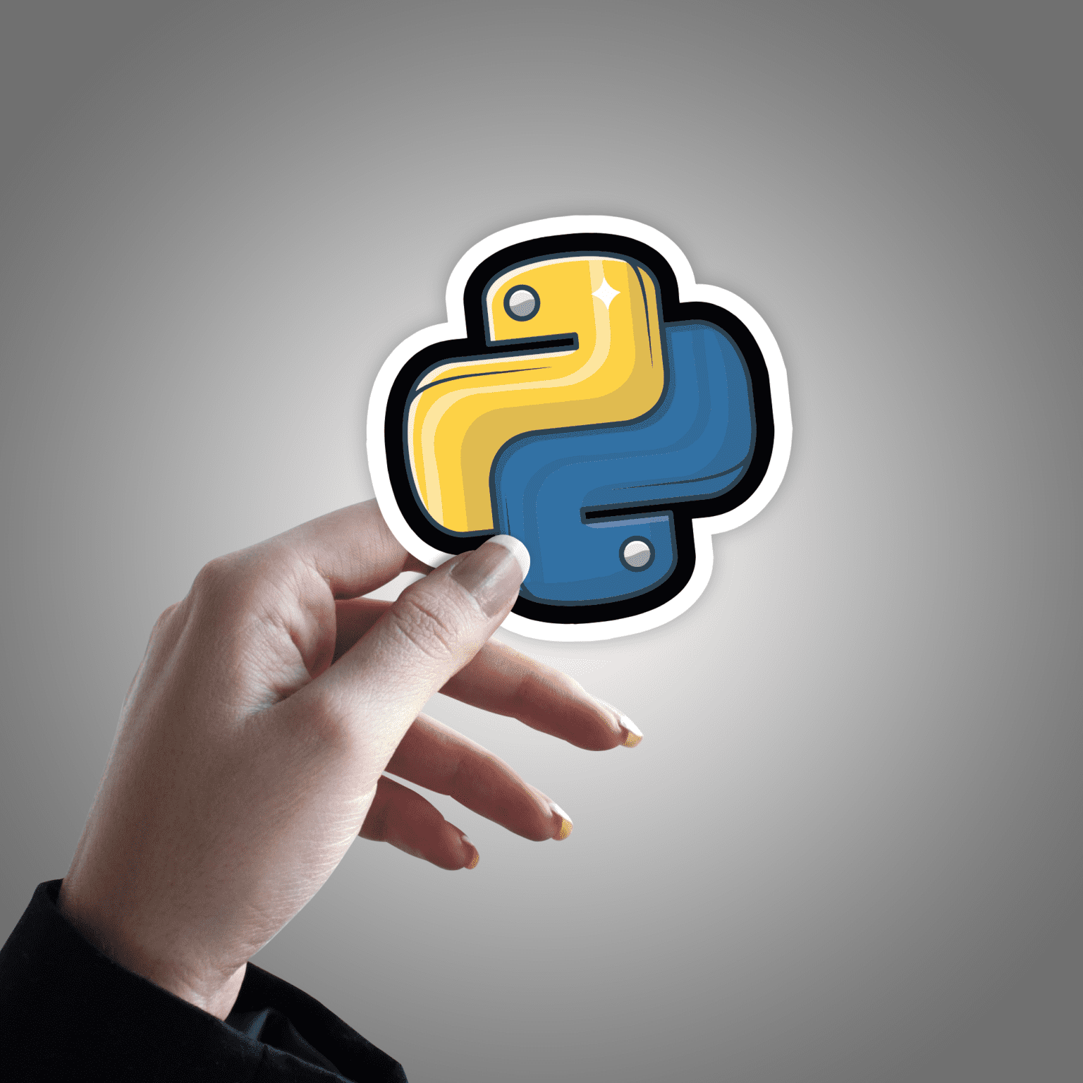 Python Programmer Sticker – stickermirchi.com